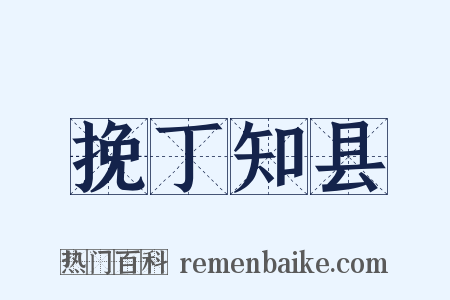 挽丁知县是什么意思的图片